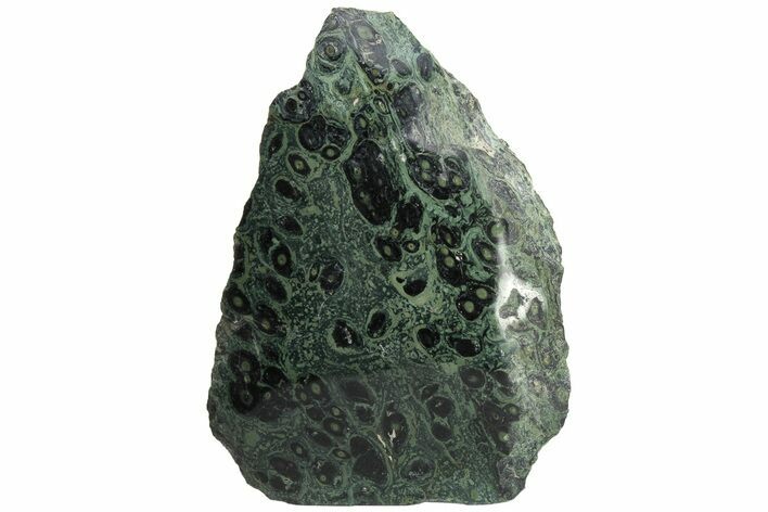 Free-Standing, Single-Side Polished Kambaba Jasper - Madagascar #221065